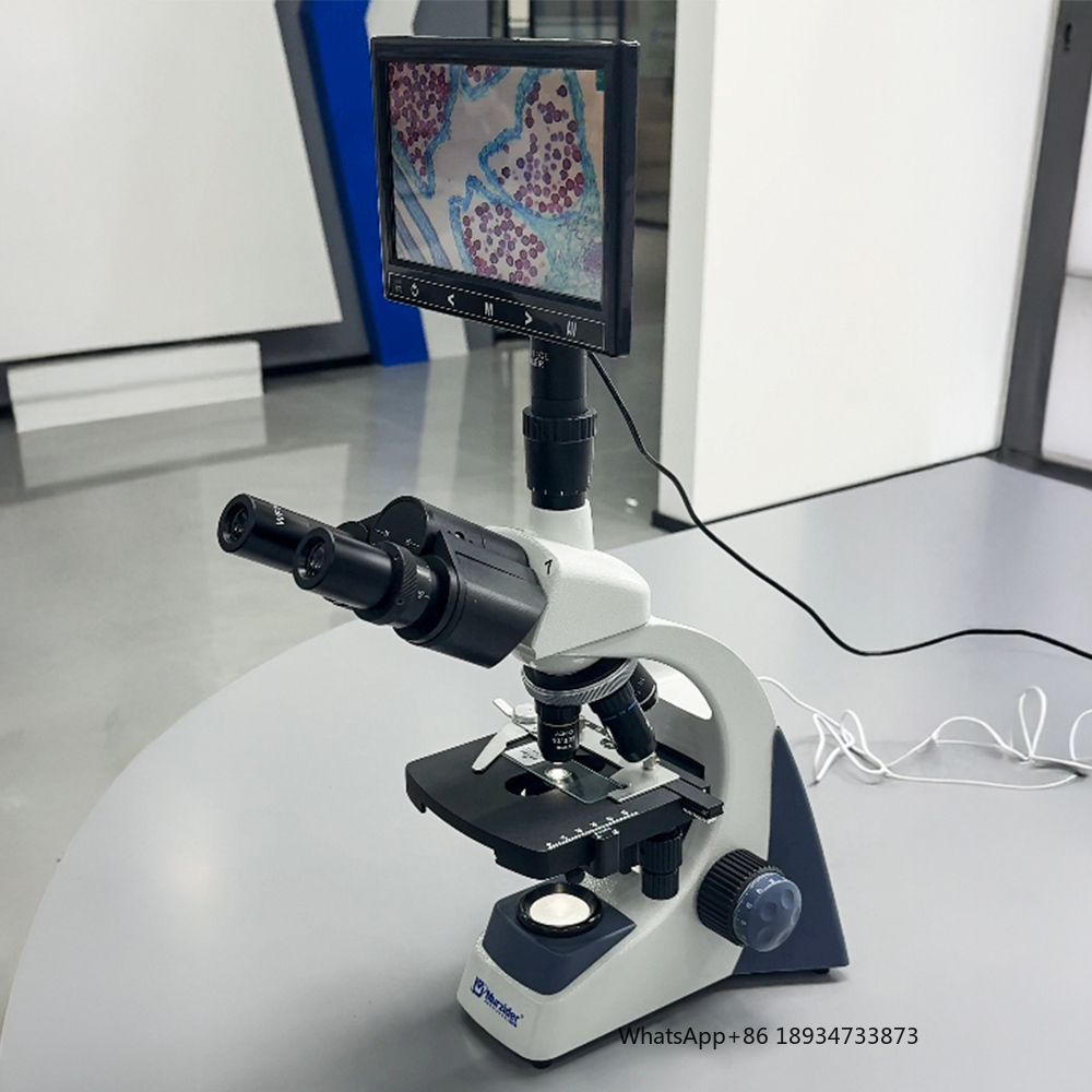 MSD105-T-09 Biological Microsc - Medical Lab Images reseña y precio