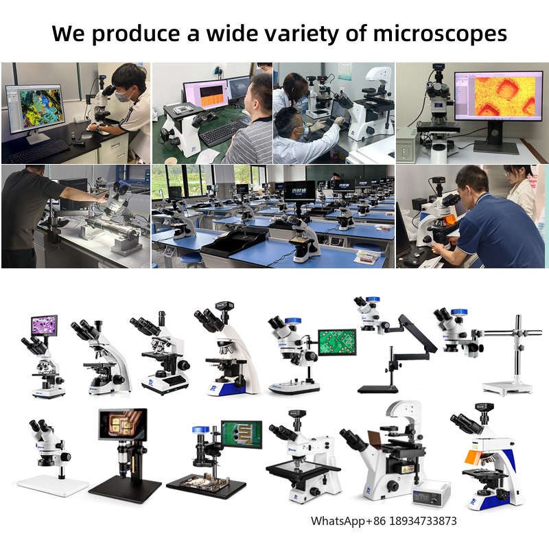 MSD105-T-09 Biological Microsc - Medical Lab Images reseña y precio